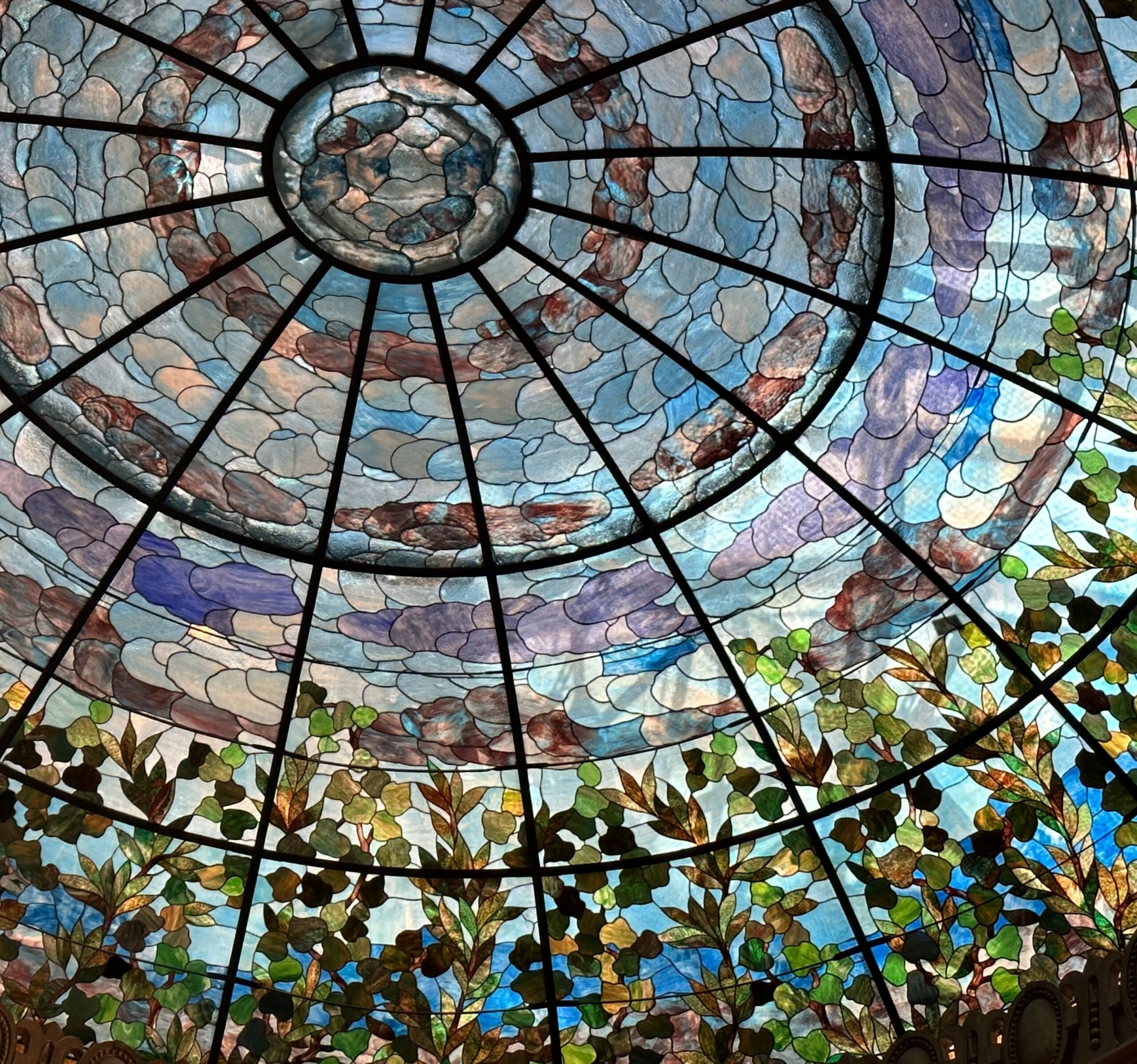 23A7E4B3-2581-462A-8031-C24901177925